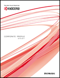 Download Company Profile (PDF)