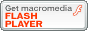 Get Falsh Player