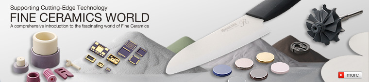 Fine Ceramics World