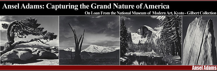 [Ansel Adams: Capturing the Grand Nature of America] On Loan From the National Museum of Modern Art, Kyoto - Gilbert Collection