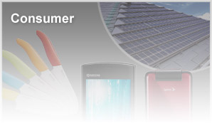 Consumer
