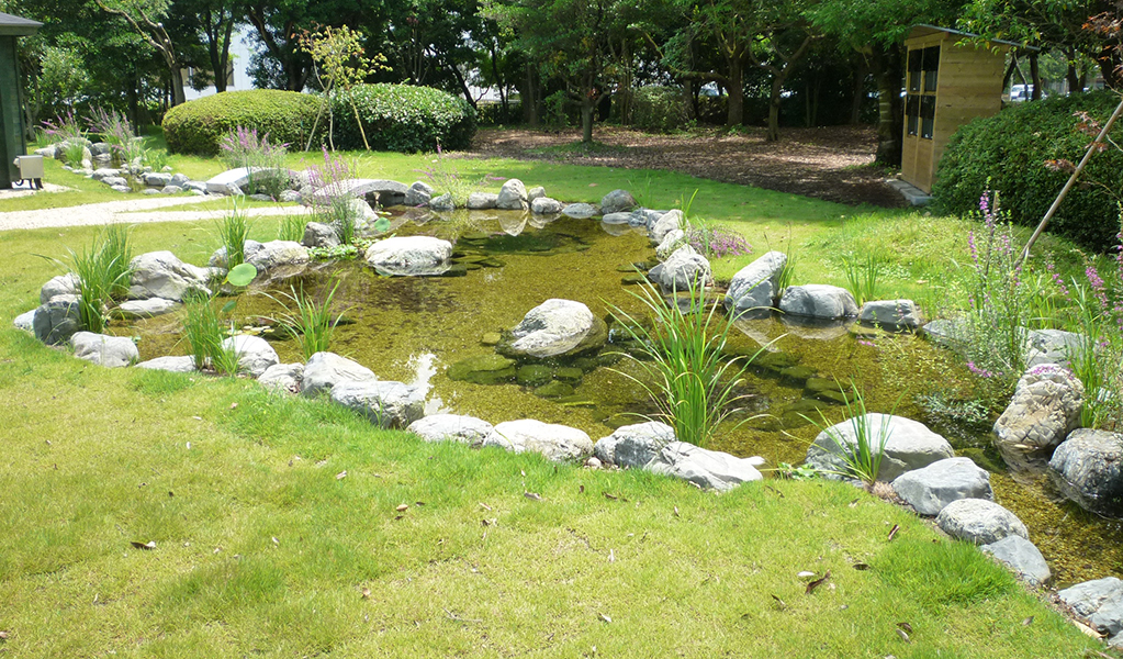 images: Our pond approx. 1/5,000 the size of Lake Biwa