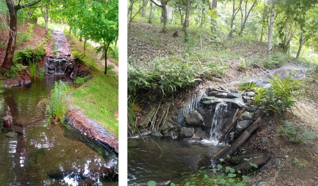 images: Biotope (streams and thickets)