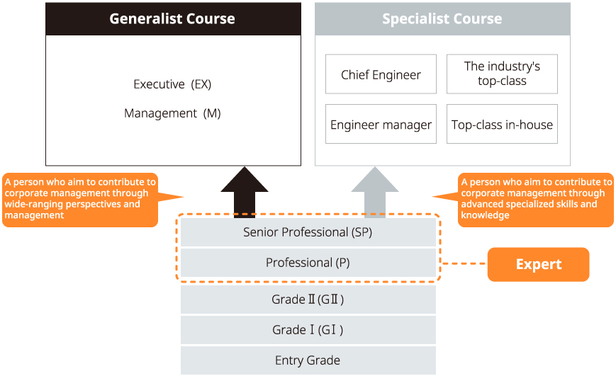 System of Qualifications: Generalist Course and Specialist Course