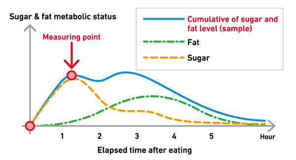 Changes in Fat and Carbohydrate Levels After Eating