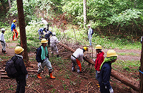 Image: forest restoration activities in Okaya City, Nagano Prefecture (right)