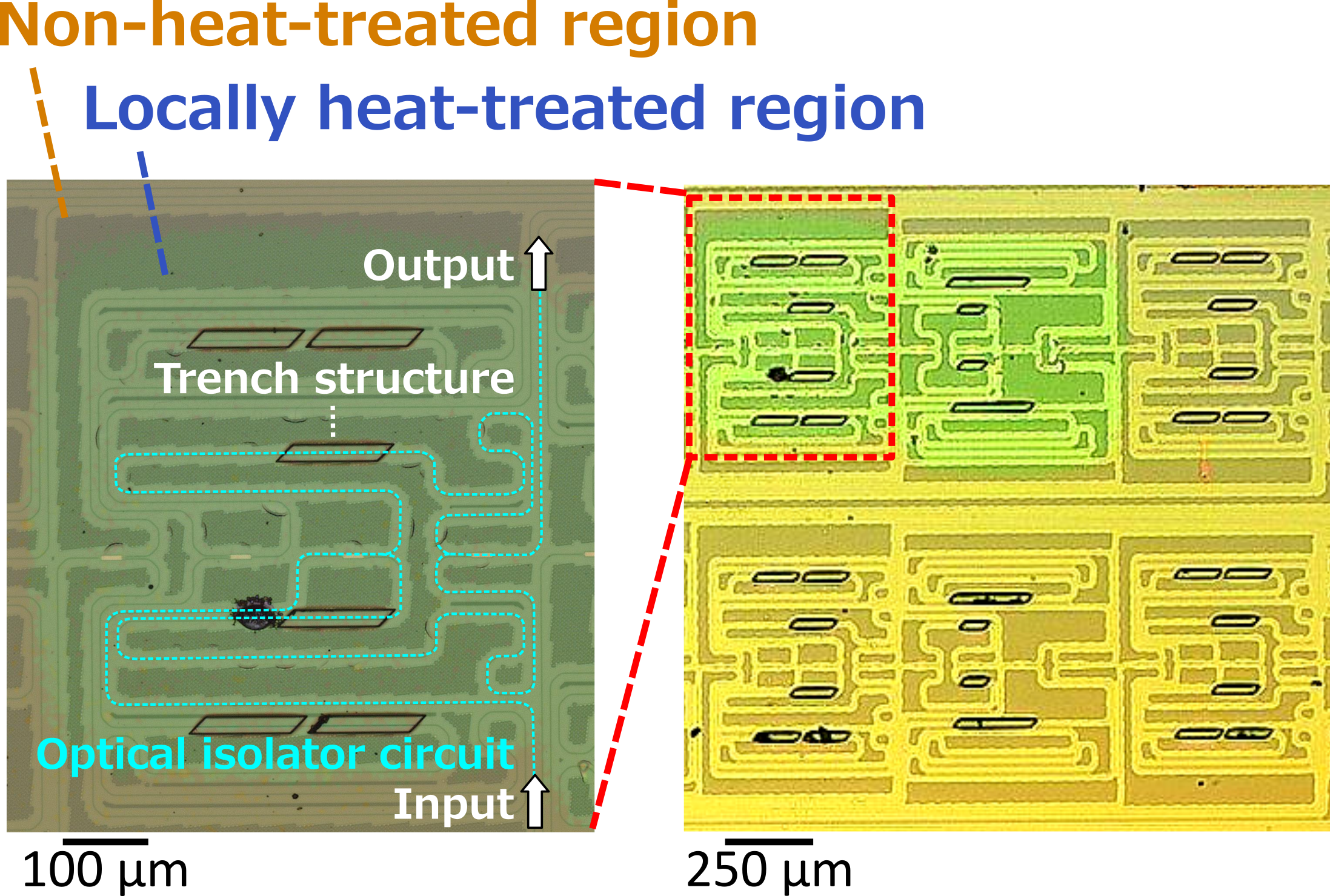 Figure_1_PressEN_260908a.png