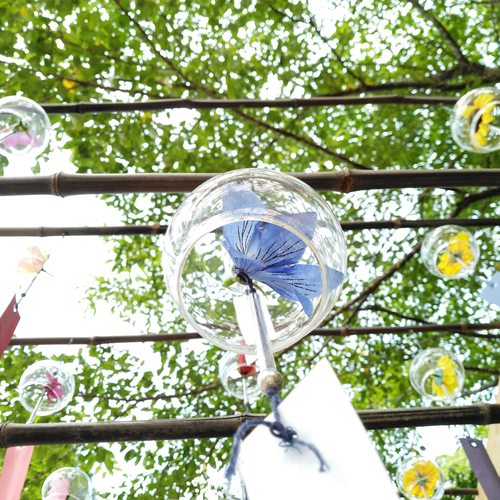 >Furin (Wind-chime) Photos Taken with a Kyocera Smartphone