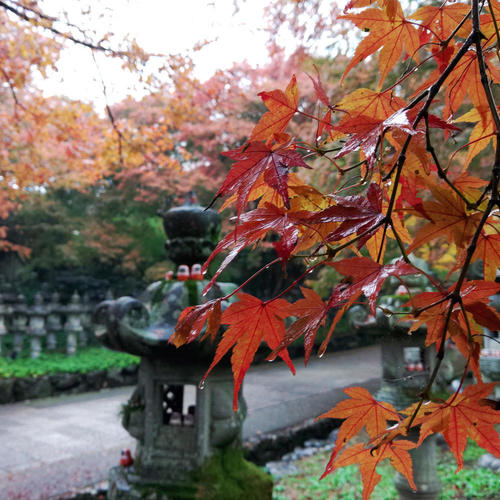 >The Color of Autumn Rain