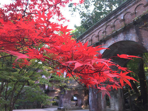 Fall foliage photos in Japan