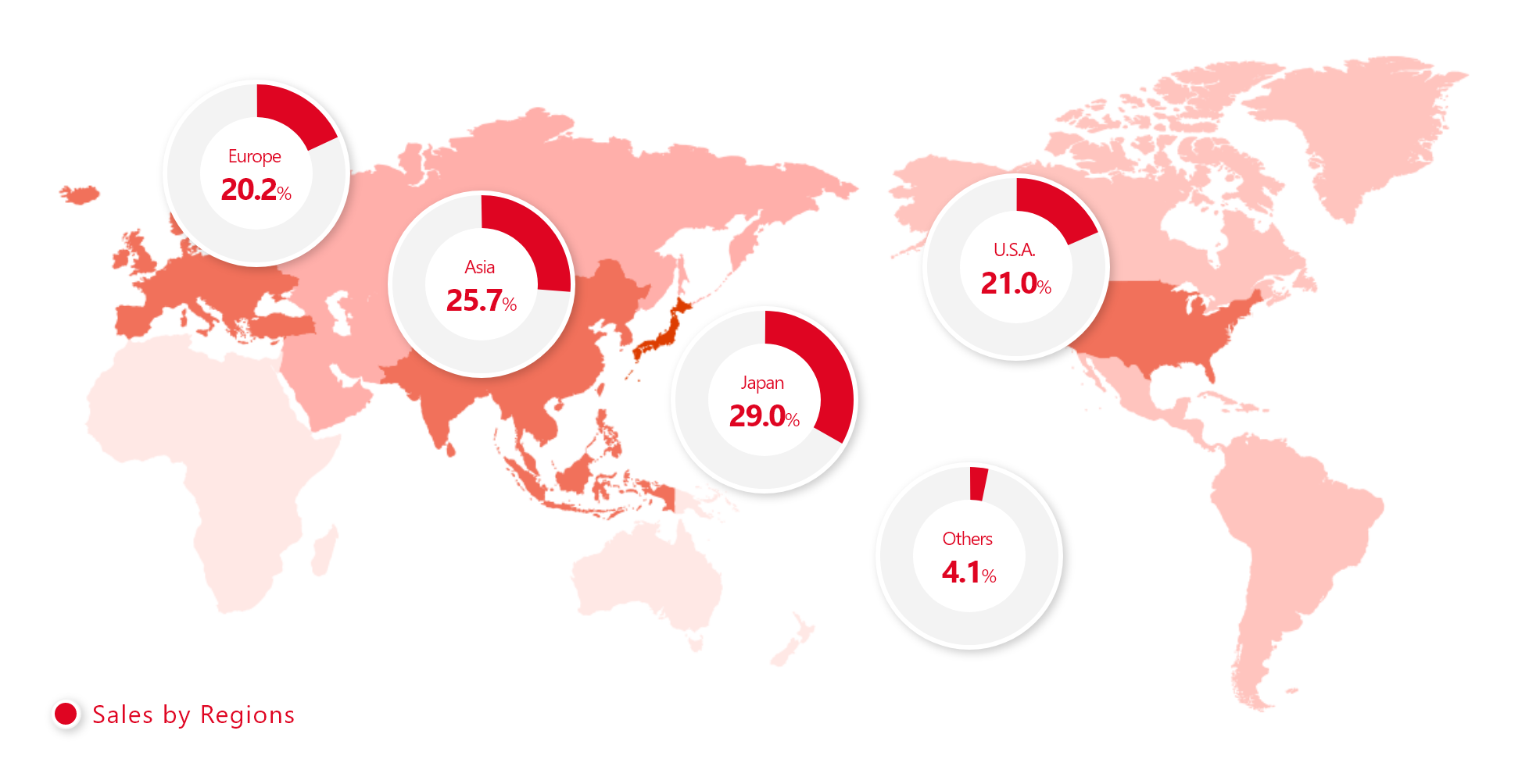 Consolidated Sales by Region