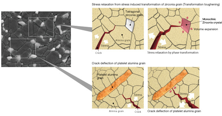 Stress relaxation from stress induced transformation of zirconia grain (Transformation toughening), Crack deflection of platelet alumina grain