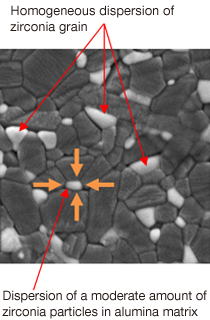 図：ジルコニア粒子の分散とアルミナ粒子による拘束の図