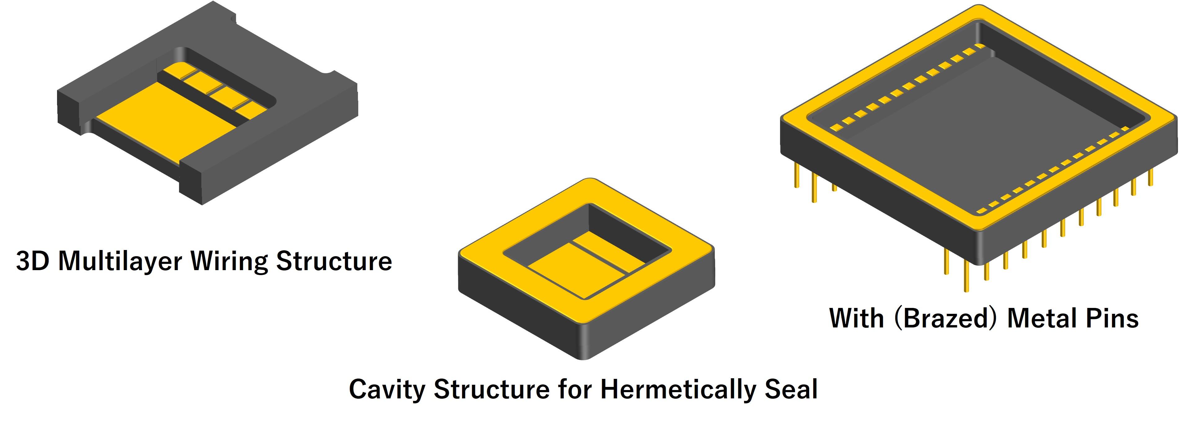 aln_case_study_ENG_v2