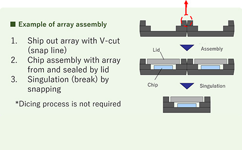 Example of array assembly 