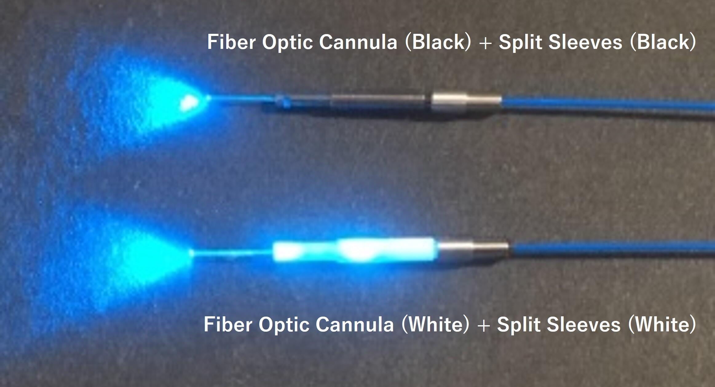 Blue Light (Wavelength 470nm) Incident Appearance