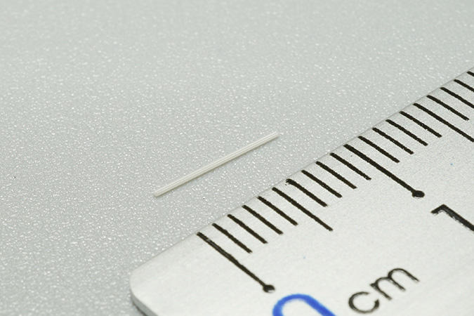 Ferrule