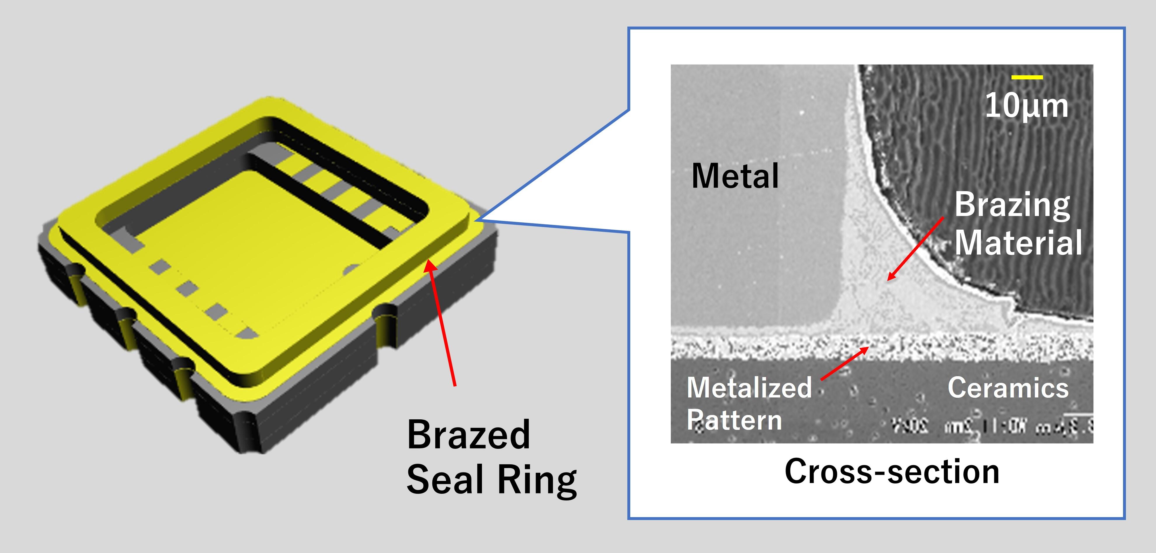 brazed_seal_ring