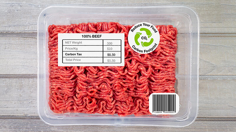 Reliable Even in Food Processing Environments That Demand Environmental Resistance