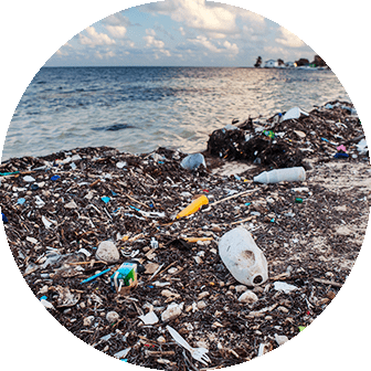 Waste on the seashore