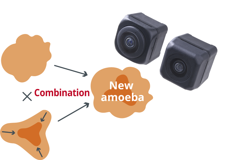 image: Automotive Camera Module