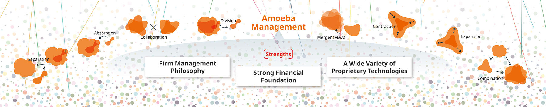 image: Amoeba Management