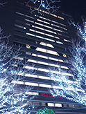 Photo: A giant Christmas tree is created through the clever arrangement of lighted windows