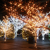 Photo: LED illuminations in the public space in front of the headquarters building