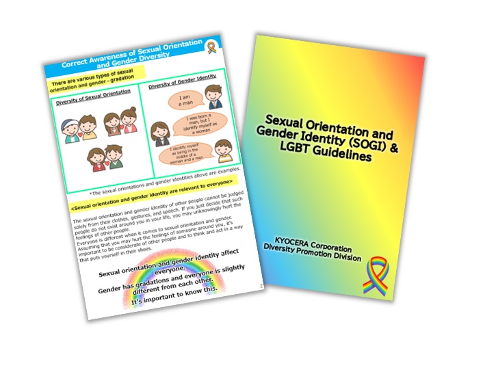 Our SOGI and LGBT Guidelines