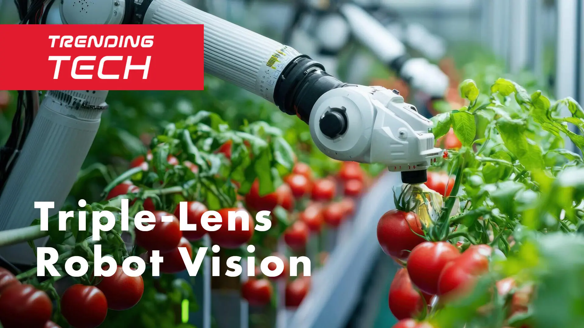 TRENDING TECH Precision vision: How triple-lens AI depth sensors are changing robotics and industry