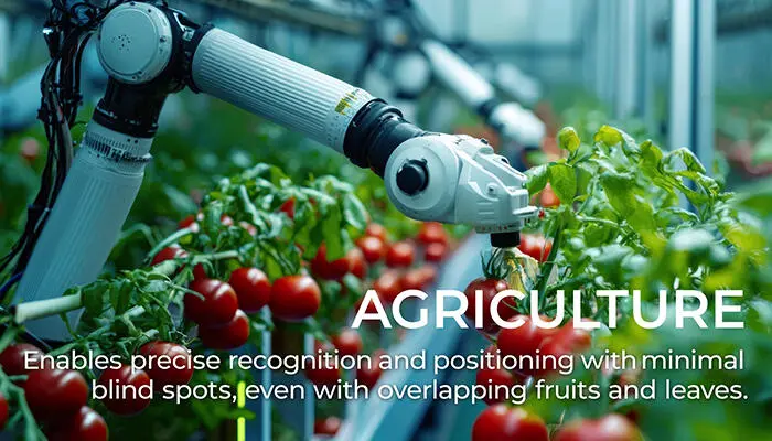 Robotic arm picking tomatoes in a greenhouse.